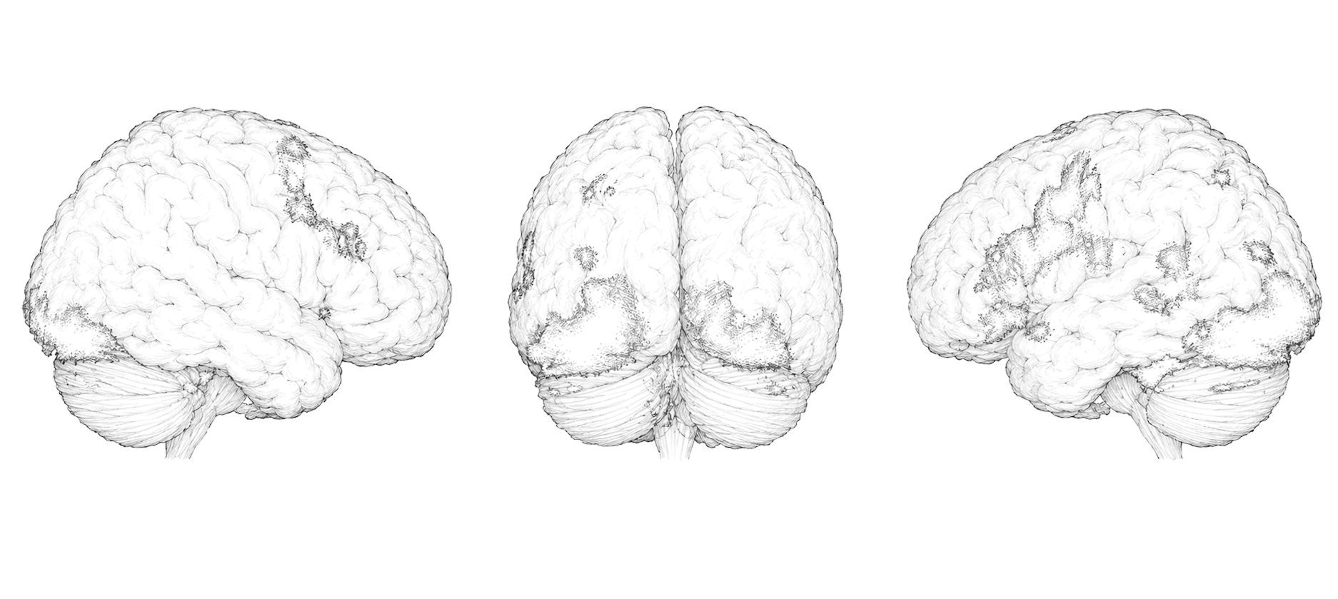 Three Perspectives of Neural State and Cognitive Rhythm